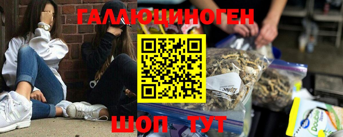 Псилоцибиновые грибы Magic Shrooms  Псилоцибиновые грибы GOLDEN TEACHER  Десногорск  Вход с VPN 